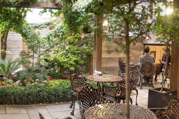 رستوران گیاهی آناندا در تهران