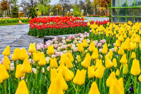 باغ گلها کرج