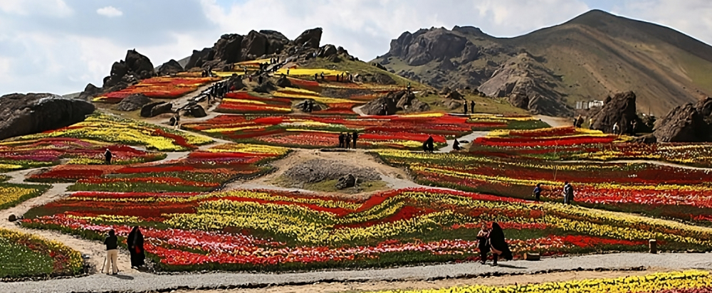 باغ گلها کرج