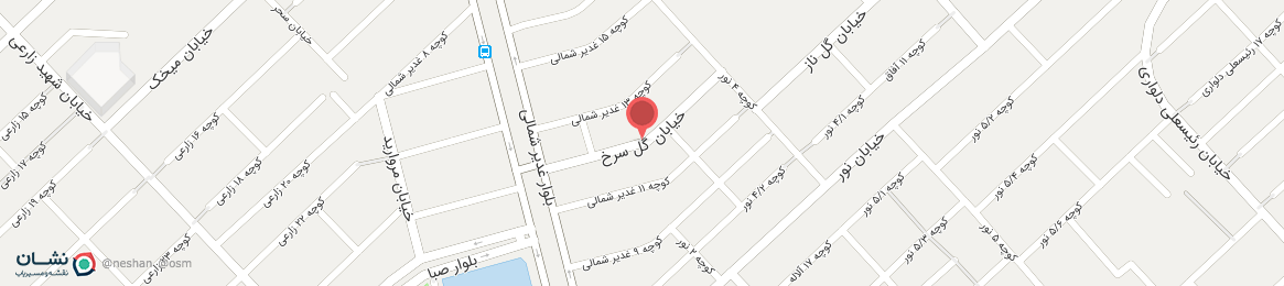 عکس خیابان گل سرخ شیراز