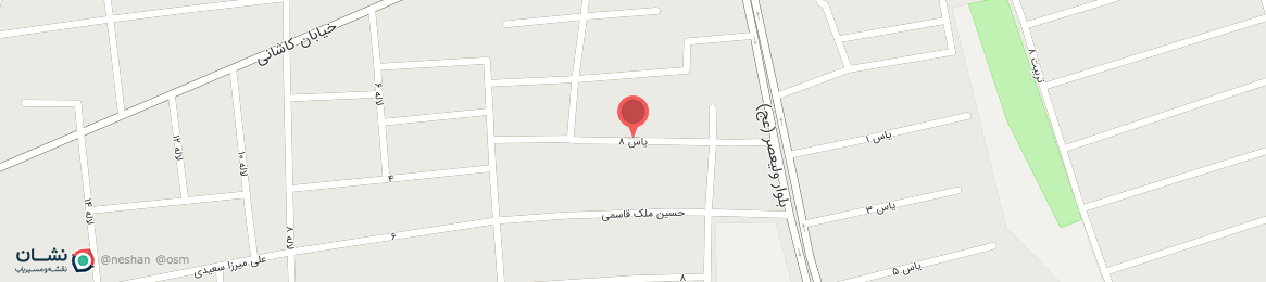 عکس کوچه یاس 8 بردسیر