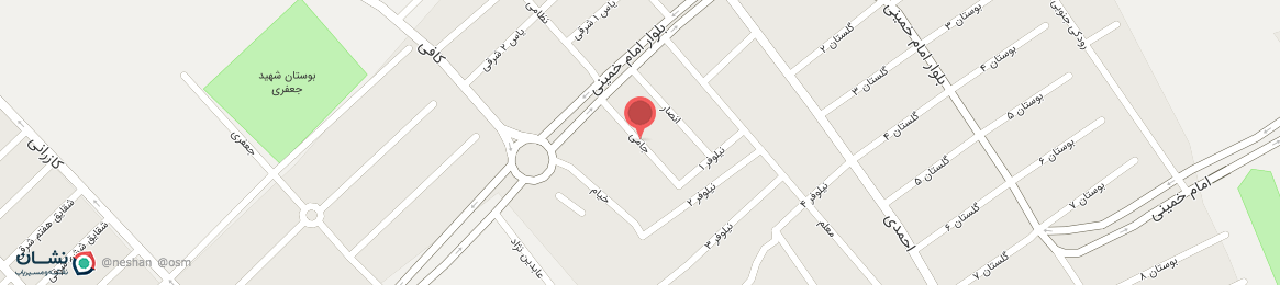 عکس خیابان جامی همدانک