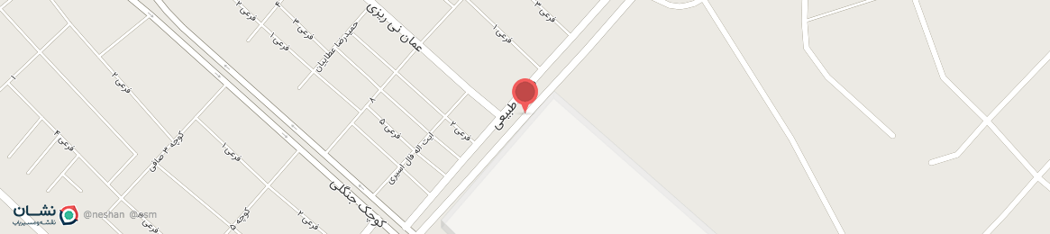 عکس خیابان منابع طبیعی نی ریز