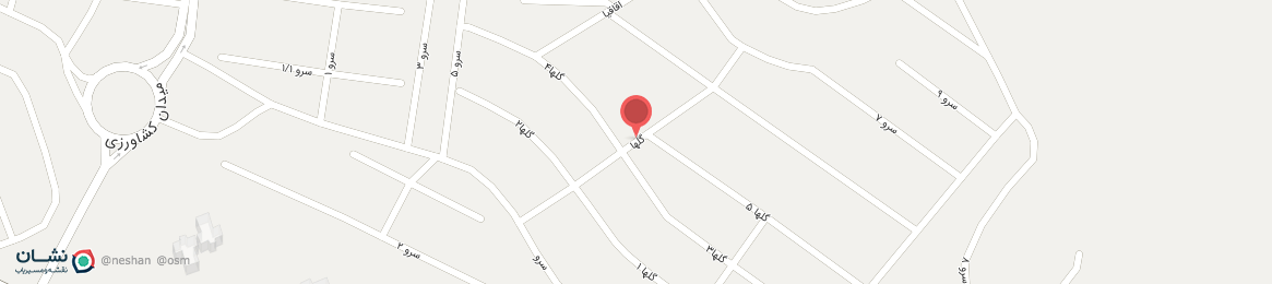 عکس خیابان گلها صدرا