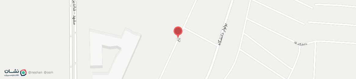 عکس خیابان باغ درخت بید