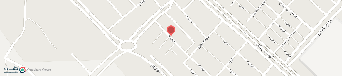 عکس خیابان فرعی 4 نی ریز