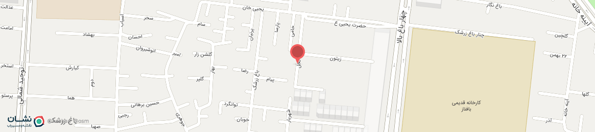 عکس خیابان نخل اصفهان