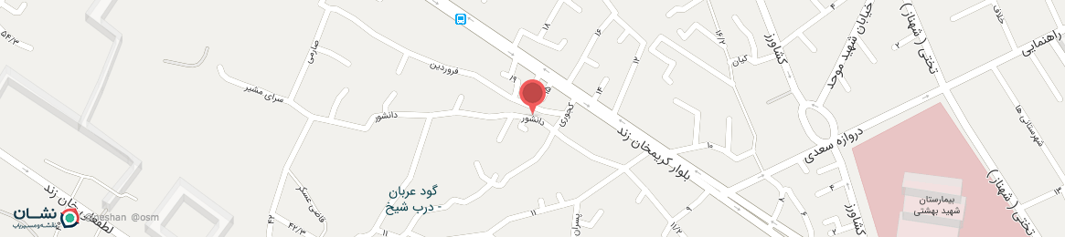 عکس خیابان دانشور شیراز