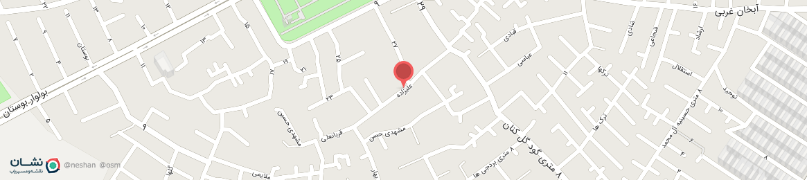 عکس خیابان علیزاده شیراز