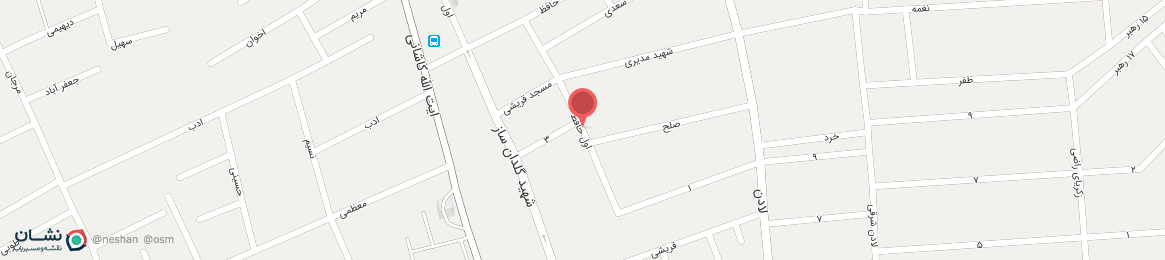 عکس خیابان اول حافظ یزد