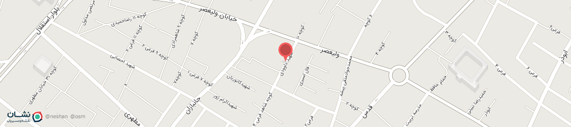 عکس خیابان شهید داوودی نی ریز