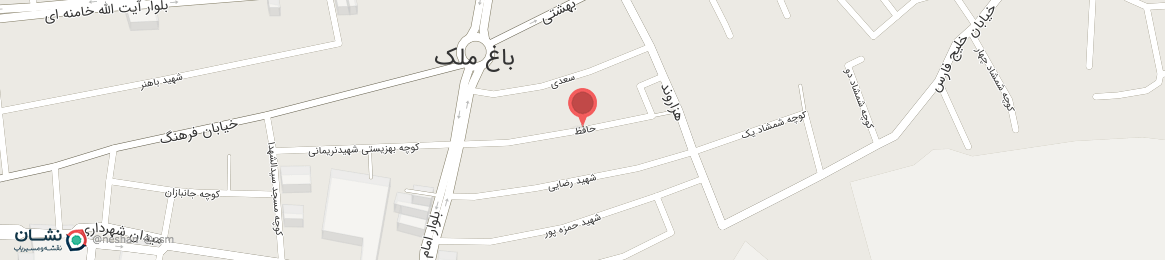 عکس خیابان حافظ باغ ملک