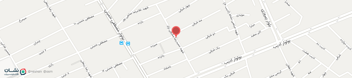 عکس خیابان شهید حمیدرضا مشرفی نژاد کرمان