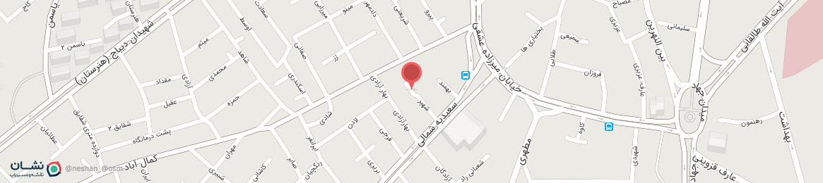 عکس خیابان شهیر همدان