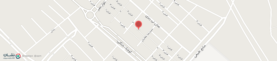 عکس خیابان فرعی 3 نی ریز