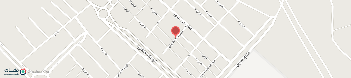 عکس خیابان حمیدرضا عطاییان نی ریز