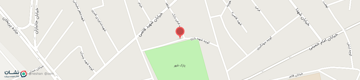 عکس خیابان شهید یاری مشکین شهر