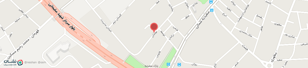 عکس خیابان بوستان همدان