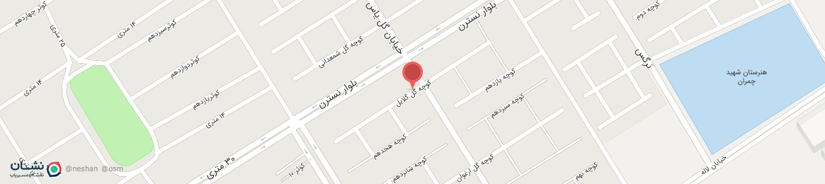 عکس خیابان گل گلایل دامغان