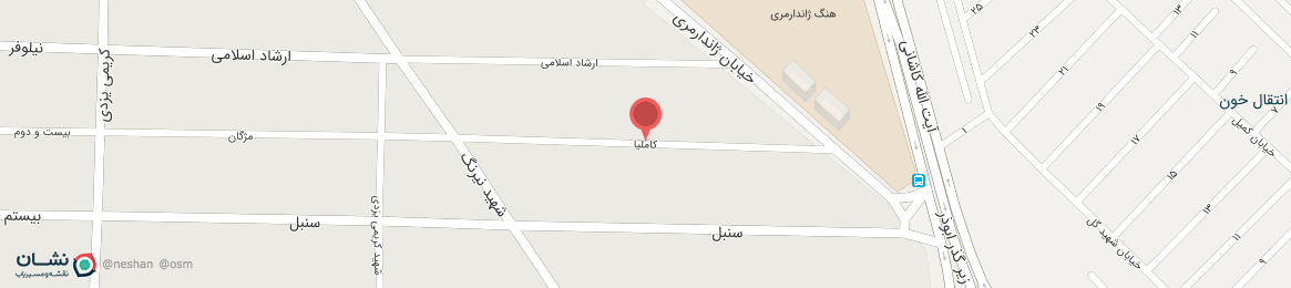 عکس خیابان کاملیا یزد