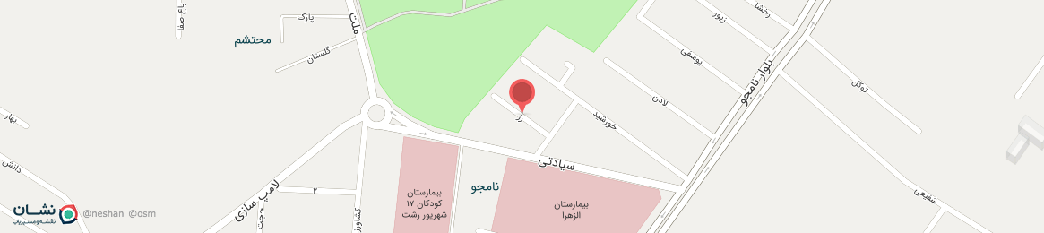 عکس خیابان رز رشت