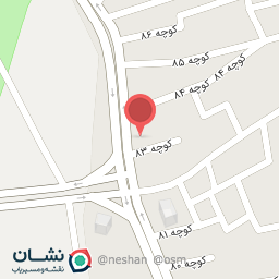 عکس تزئینات اتومبیل نمازی