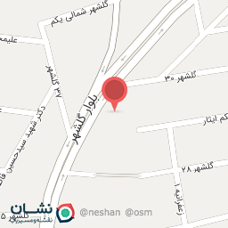 عکس زمانی برگر