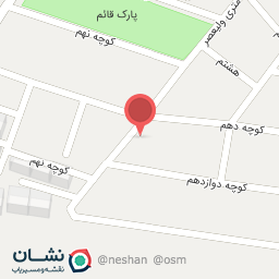 عکس نگین ارتش