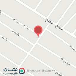 عکس کیف و کفش میم