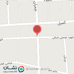 عکس فست فود دورهمی