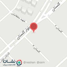 عکس کارواش رادین