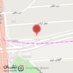 عکس دکتر آمنه دقیقی خداشهری