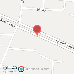 عکس شهید استکی