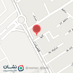 عکس ساندویچ سورنا