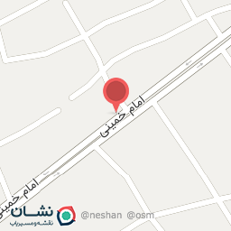 عکس پیتزا شاه توت