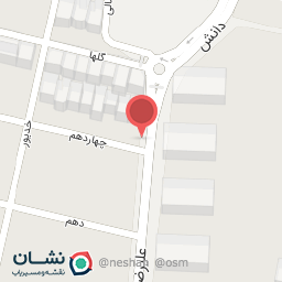 عکس پیتزا میتزا