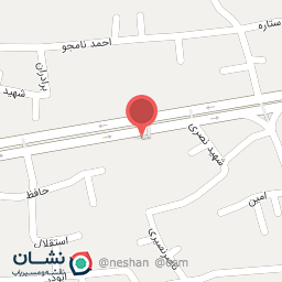 عکس برگر شرفی