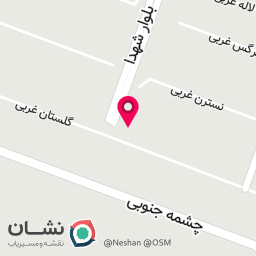عکس مکانیکی و تعویض روغنی ناصر