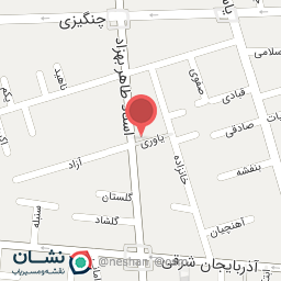 عکس پیتزا ساندویچ گل یخ