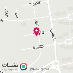عکس برگوریلا