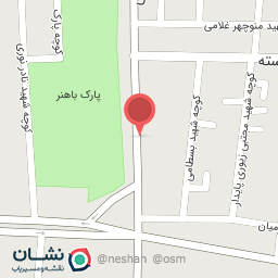 عکس تک رایانه زیوری پایدار