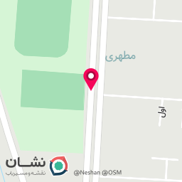 عکس مربی اسکیت حسین نامداری