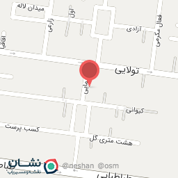 عکس فروشگاه جنسینگ امانی