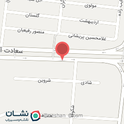 عکس کفش کارنیک