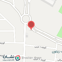 عکس پرده سرای ناصر