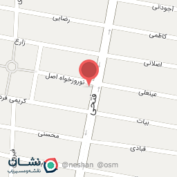 عکس نمایندگی اسنوا (ابوذر)