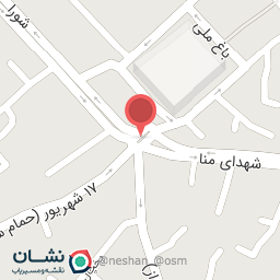 عکس مرغ سالار