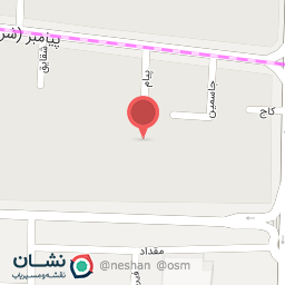 عکس دکتر شاهین جمیلی