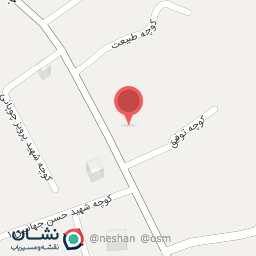 عکس پیتزا ساندویچی 57