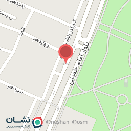 عکس پیکاسو چوب